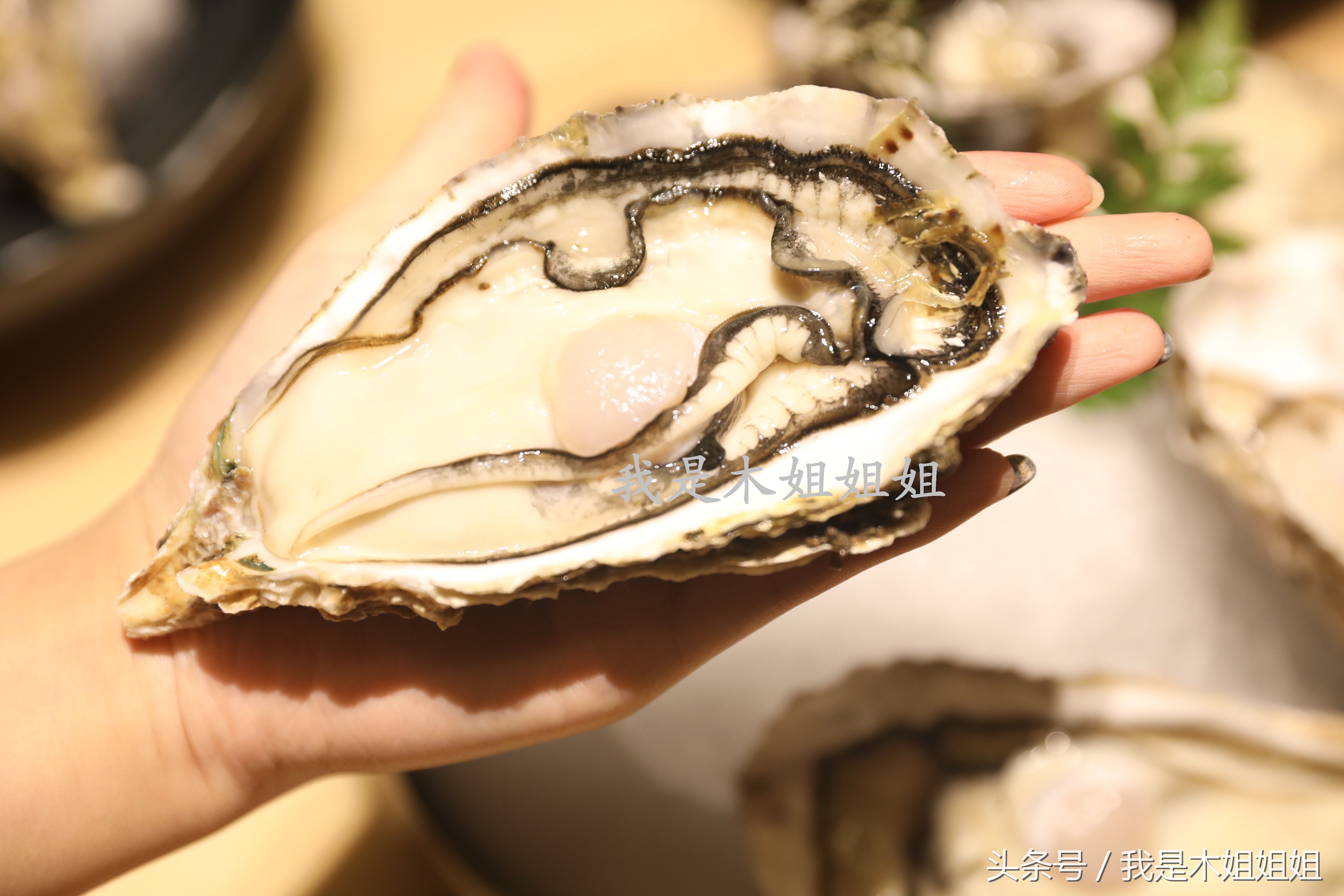 花了128吃遍六国优质大生蚝,这一桌堪比蚝门盛