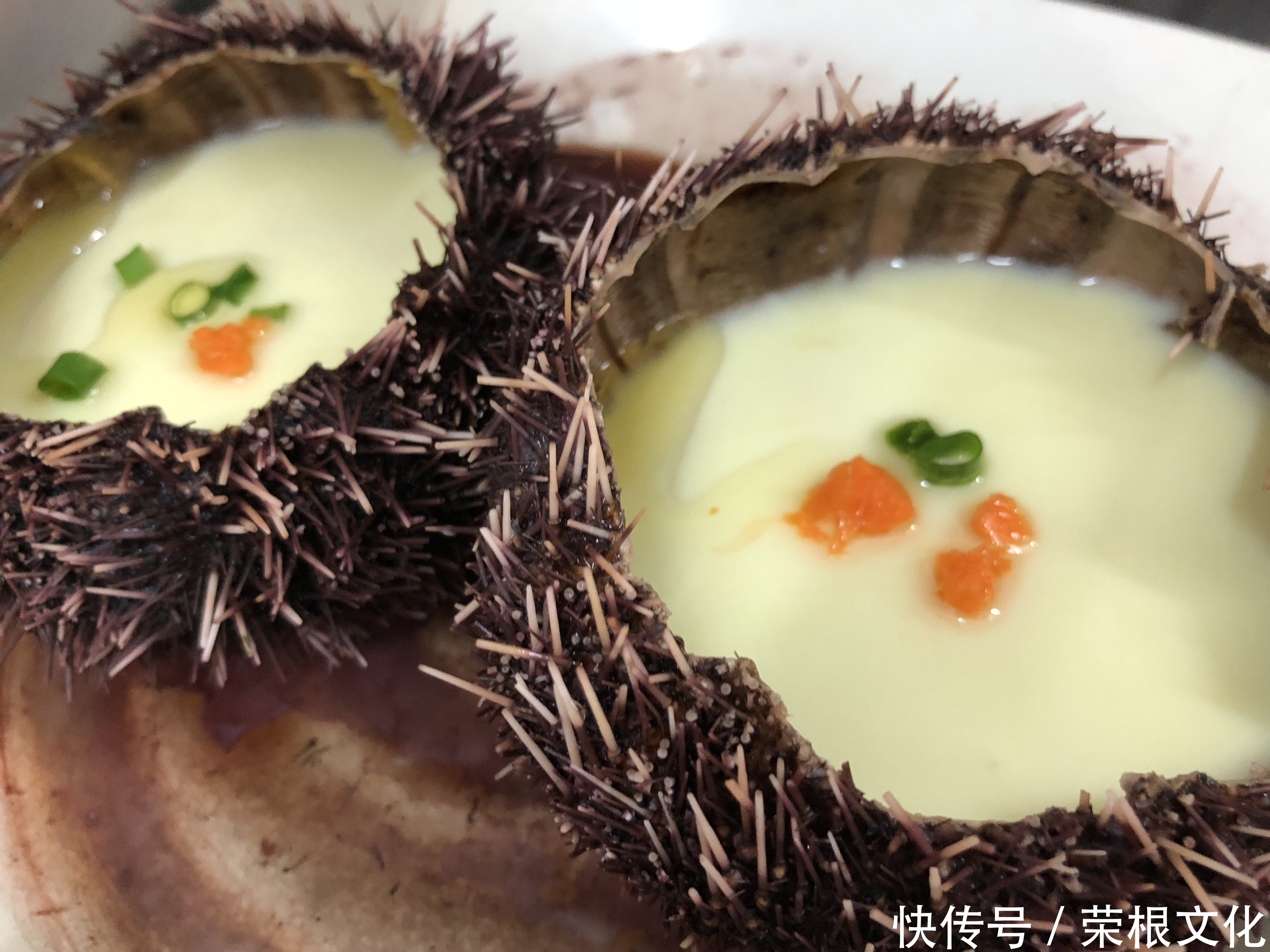 因大海到三亚，爱上大海