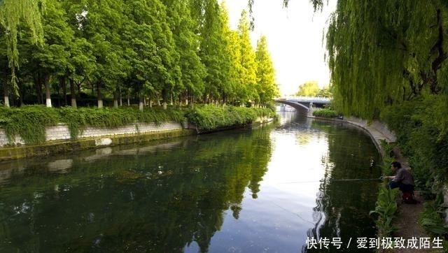 济南这个全国独一无二的开放式公园，居然免费玩！