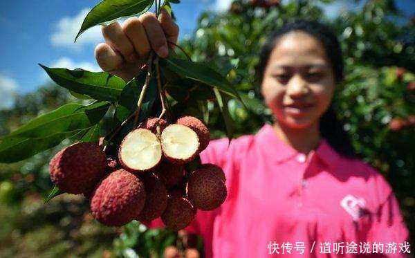 全世界最贵的一种水果，1粒售价55万元，农民只要有一棵就发了