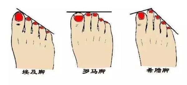 会生活的女人从不乱穿鞋!找对脚型穿对鞋才会美，更加舒适不伤脚