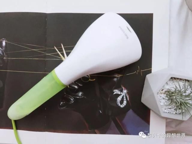 私物|有了它们,夏天再苦也能熬过去