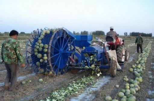 男子将西瓜就地搅碎,众人十分不解,真相让男子不淡定啦！