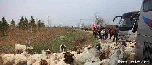 养殖户注意了明年起禁止这些养殖户经营，违者将有可能罚款