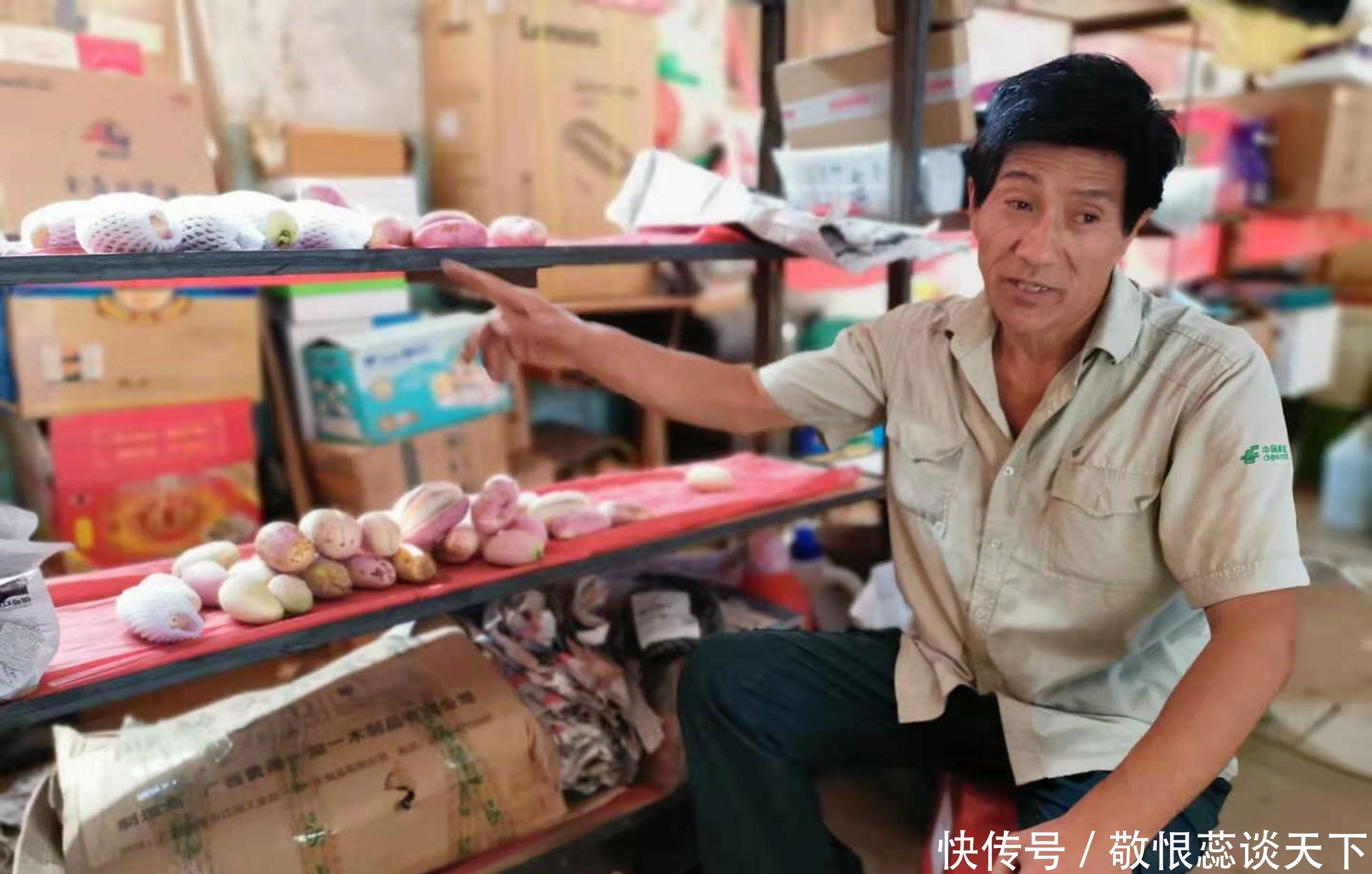  野果■农民大爷从山上挖回10苗野藤，5年繁殖400株，年赚10万元