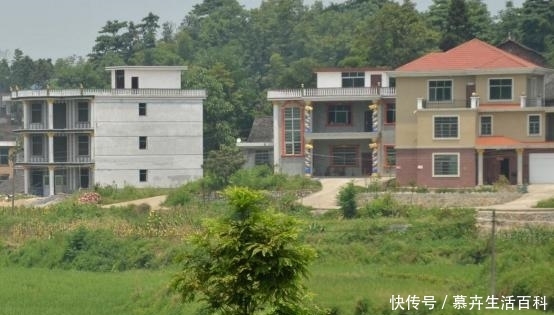 “房前不栽树，房后不栽花”，农村房子大，为何人们不爱绿化？