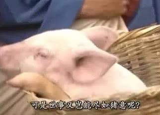 林丹发微博抵制吃狗肉遭围攻：管不住JB的人就别操心别人的嘴巴