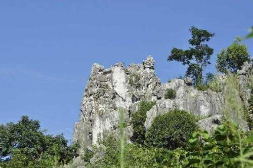  「高铁」四川这个小县将崛起，荣获780亿高铁助力，未来发展节节