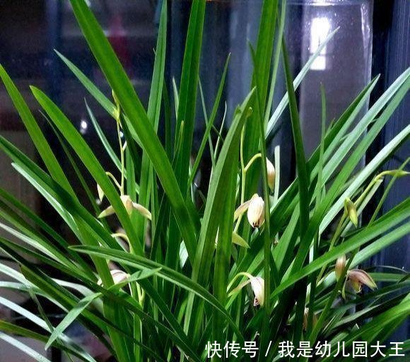 养花■养花的三个“禁忌”,沾上一个,就容易养死,你中了几个