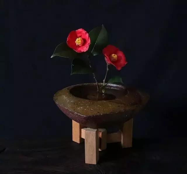  『阵子』42例插花欣赏！一辈子，总要插一次花！