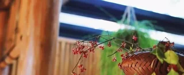 有一种旅行，叫去老街走一走