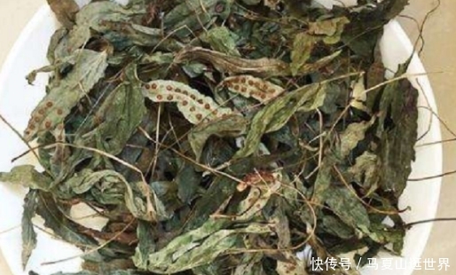  植物：生长在岩石旁的植物，它的叶子像鸭脚掌，如今是一味草药