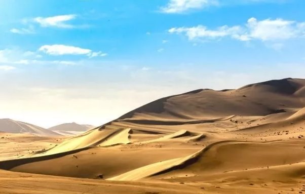 为什么说沙漠里的“玫瑰”可以捡，但“西瓜”千万不能碰？