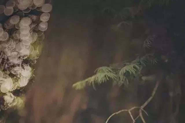 2018新十大傻 上虞人你中招了吗_【快资讯】