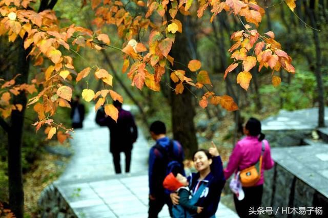 中华大地一片美丽秋景