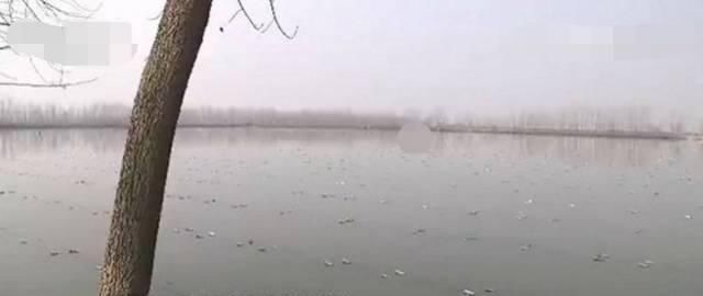 《金粉世家》重播!当年的董洁和刘亦菲,谁是你心目中的女神?