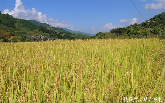 2018农业项目补助申报指南,上半年你错过哪些