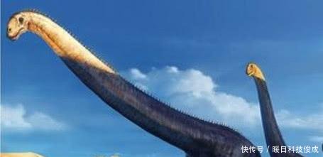 背上装着尖刺，外表十分霸气，迄今为止出土最完整的恐龙化石！