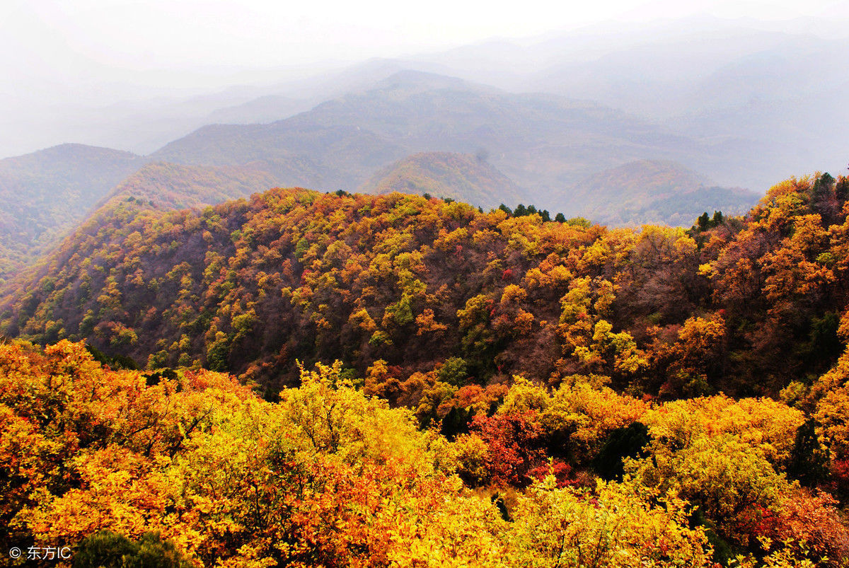 如此美妙的秋景，你若在，该有多好