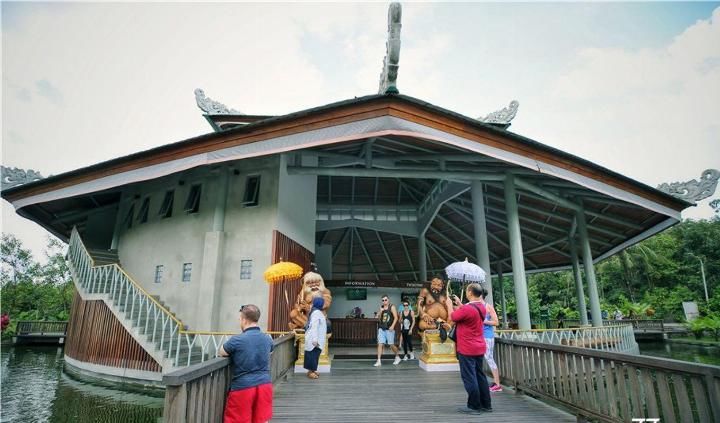 中国巨婴式游客的中国式旅游, 人人一个大单反, 外国游客只拿手机