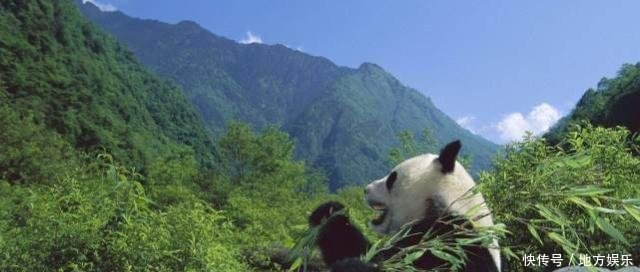  「高铁」440亿高铁驶入，四川这个县还将撤县设市，未来将迅速崛