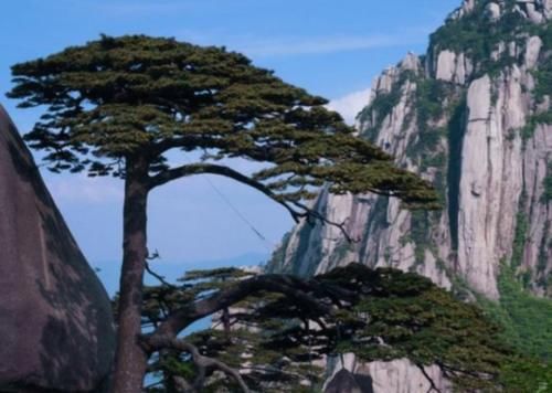 安徽省内的四大名山，其中一个有“江南第一名山”的美称！