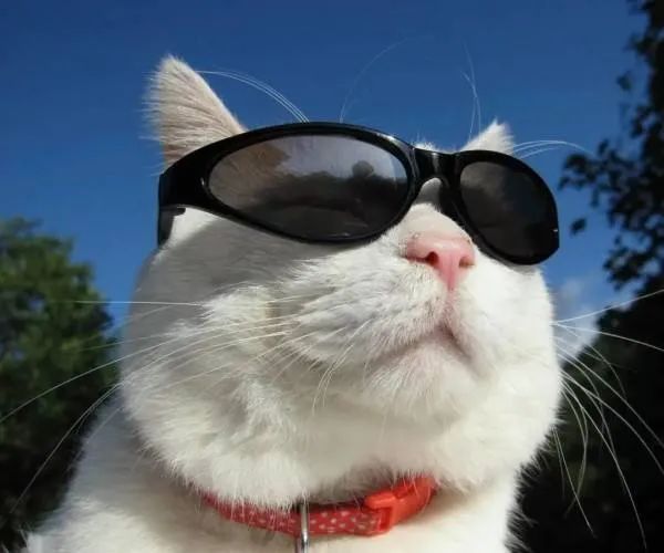  #紧随其后#哈尔滨周末或将开启“泼油”模式！紧随其后就是……