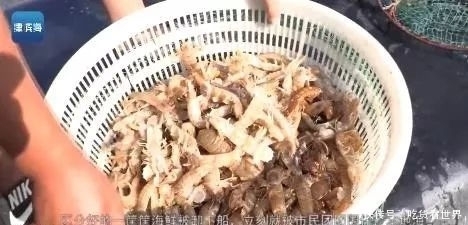 天津开海后，“第一网”海鲜已上市，周末天津海鲜一条街开街啦！