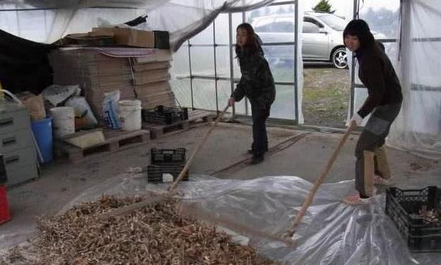 孩子的户口在城市，你是否会把孩子的户口转回农村！