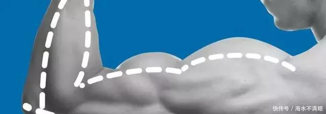 伤筋动骨一百天受伤后如何迅速恢复肌肉