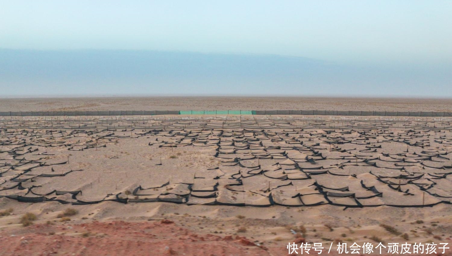 国庆去额济纳旗，路途虽远，但错过这个秋天那就得再等一年