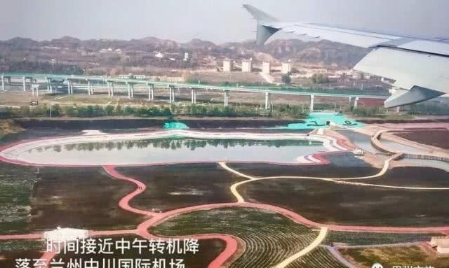 大美新疆，上眼胡杨