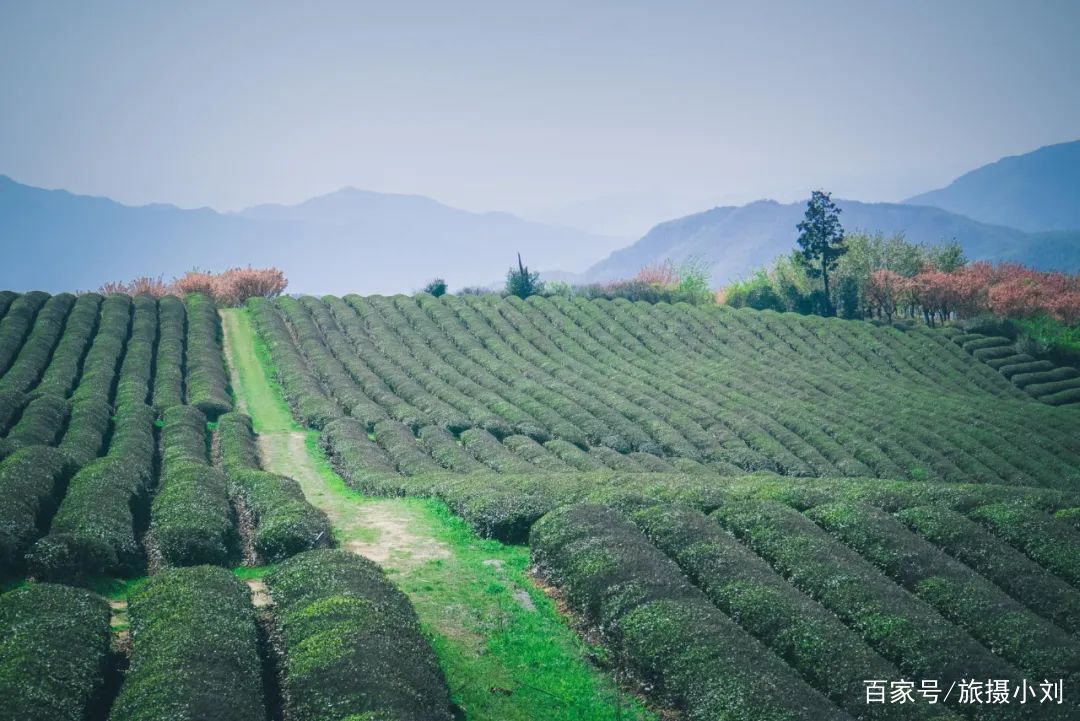  「游客」倒计时8天！清明小长假这13条小众宝藏线路，景色好，游客少！