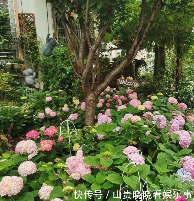  「平方」有了30平方的小院，能将日子过成了诗？简单而精致，优雅而从容！