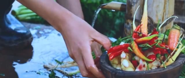  「心中」隐居山林过心中向往的生活，李子柒不忘初心，巧烹牛肉酱