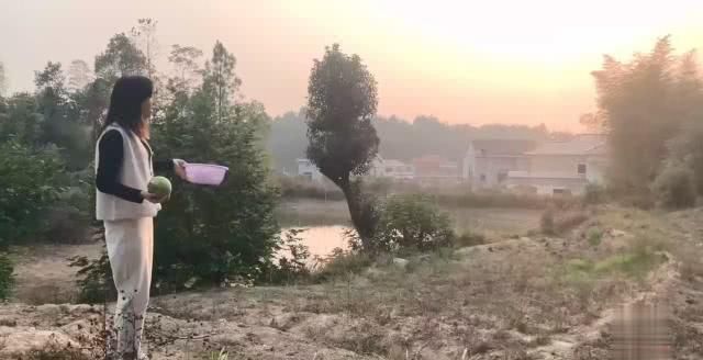  乡村■乡村家婆养了30只土鸡，去鸡棚捡生鸡蛋，想不到有意外的惊喜