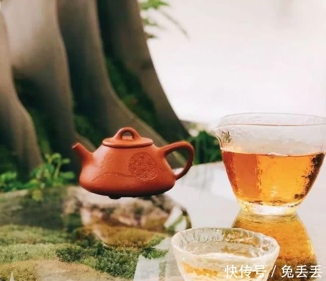  『养花』有个小院子，喝茶养花玩石头