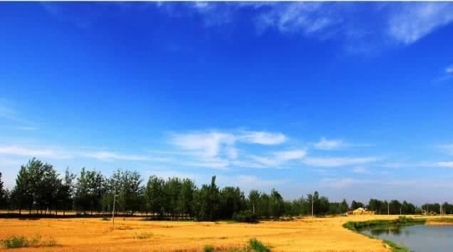 徐州这两天唱起了“小晴歌” 又是一年秋意浓，赏秋正当时！