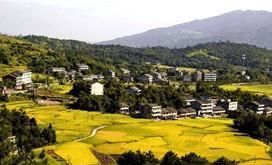  「一批」农业农村部：将再选一批县和市作为深化宅基地改革试点