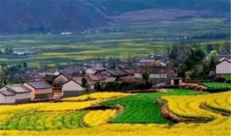  田时|农村承包地开始“归并”，其中有什么样的原则？