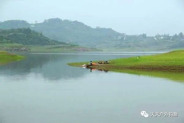  『钓点』手竿钓鲤鱼，天气和钓点的选择技巧，钓不到鱼，跟这这些关系很大