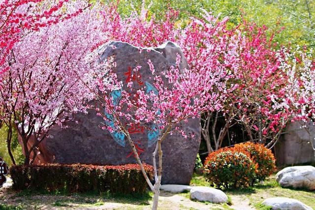 三月春暖花开,又到了寻花问柳的季节!