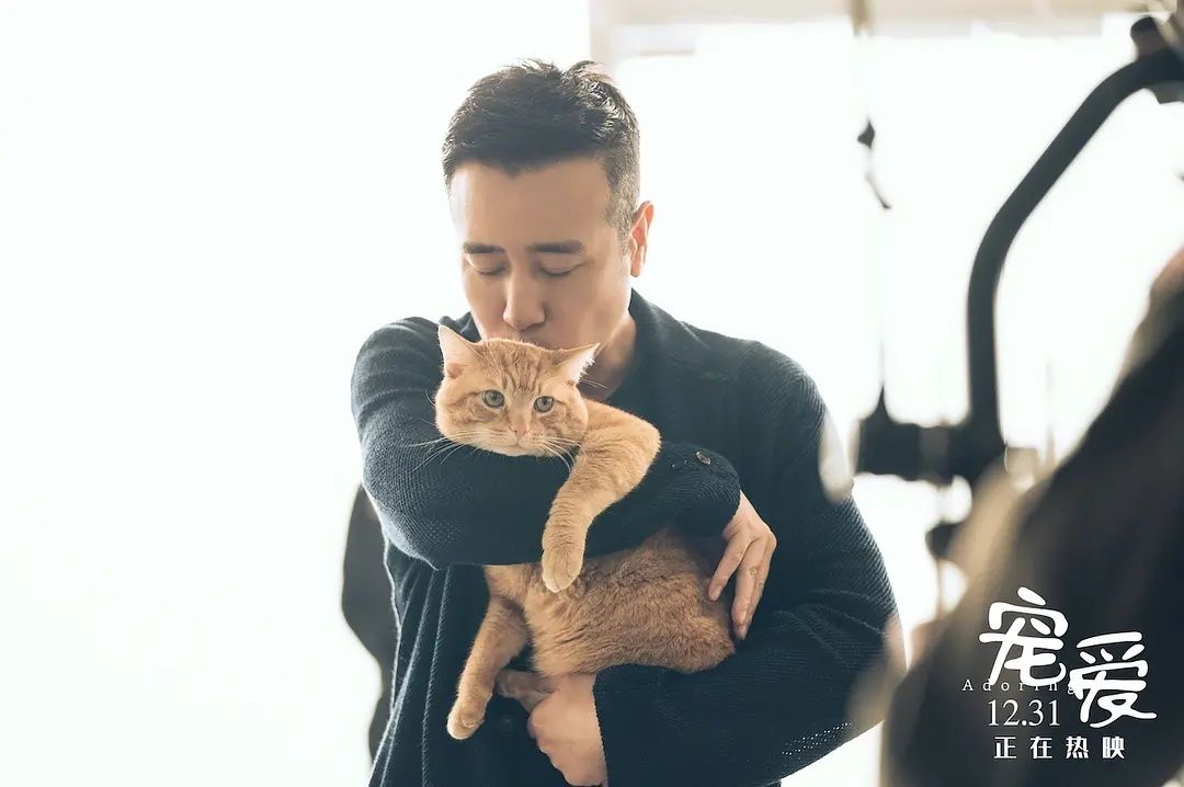 宠爱票房破3亿