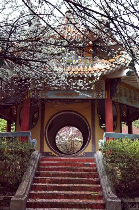  【园林景观】赏花不知花叫啥？一份春季花朵辨认指南请查