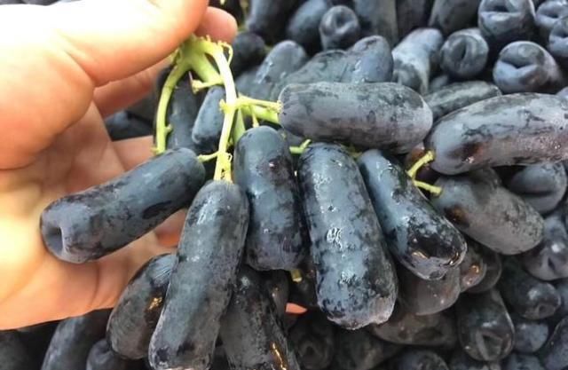 80元一斤，插土就能活，农民：被套路了