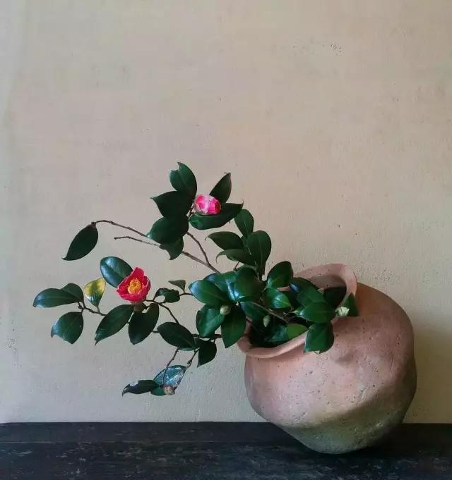  『阵子』42例插花欣赏！一辈子，总要插一次花！