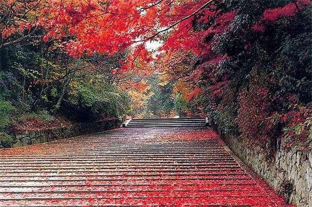 国内6个绝美赏枫地，秋天最适合去旅游的景区，层林尽染美轮美奂