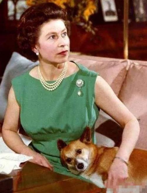 英国女王最爱的4大件,帽子不能少,最后一件女生受不了!