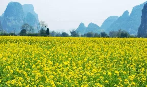 国内最佳旅游城市TOP10，去了还想去！