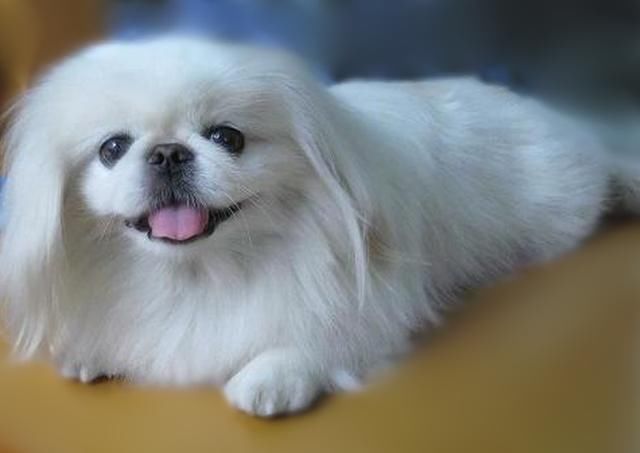 你的朋友圈收到这条消息了吗？虽然是谣传，家长们更应该引以为戒